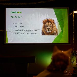 Vánoční večírek 2025